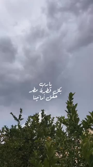 Preview for a Spotlight video that uses the phrases rain Lens