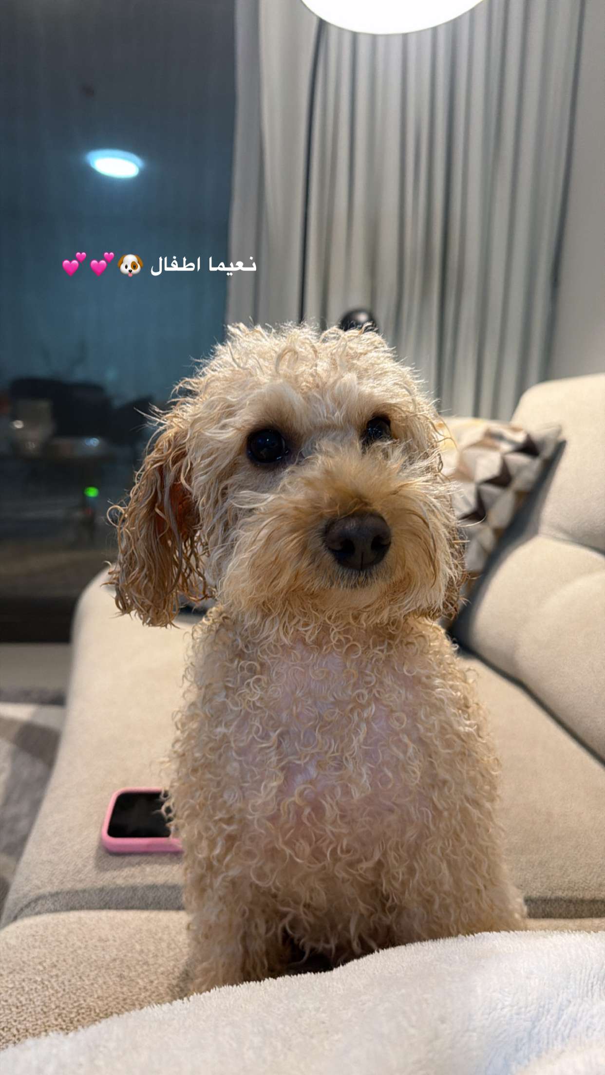 محتوى سناب شات لـ Ansam | انسام