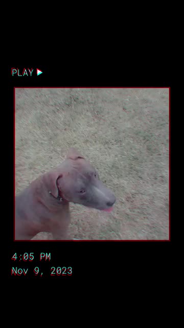 Preview for a Spotlight video that uses the RGB Frame Lens