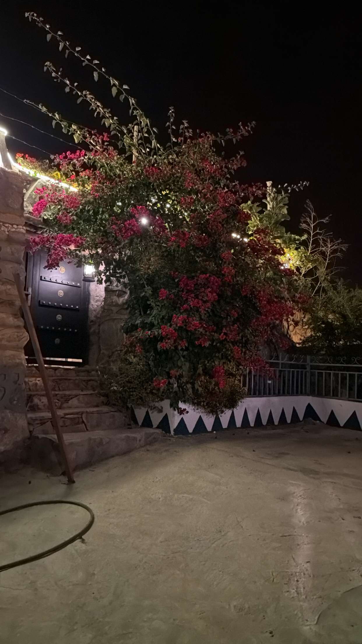 محتوى سناب شات لـ FFF
