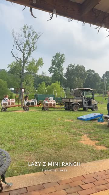 Lazy Z Mini Ranch