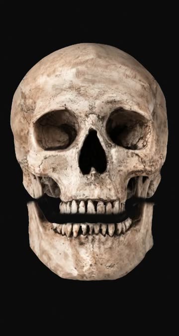 Preview for a Spotlight video that uses the skeleton Lens