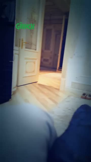 Preview for a Spotlight video that uses the The Grinch Lens