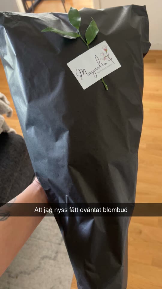 pebblesjohansso