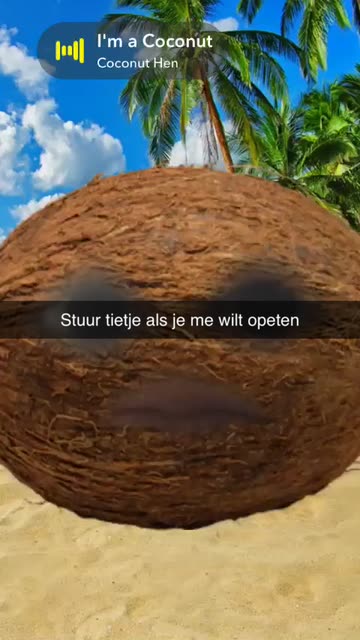 Preview for a Spotlight video that uses the Coconut Head Lens