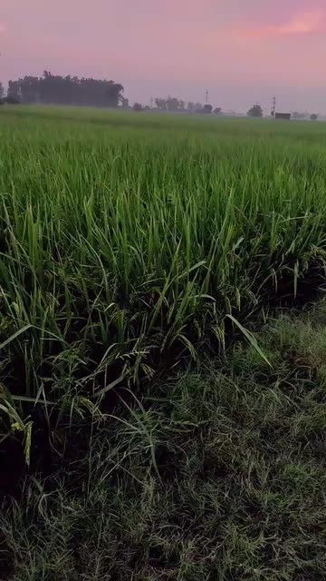 Preview for a Spotlight video that uses the GLOWING BLUSHHH Lens
