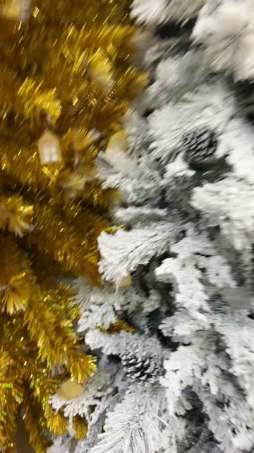 Preview for a Spotlight video that uses the Soft Lens