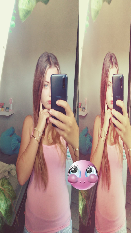 lin_vz1845
