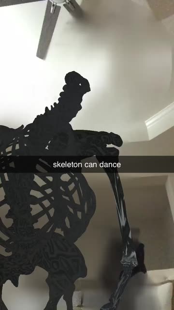 Preview for a Spotlight video that uses the Skeleton Body Lens