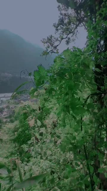 Preview for a Spotlight video that uses the Temporada Lens