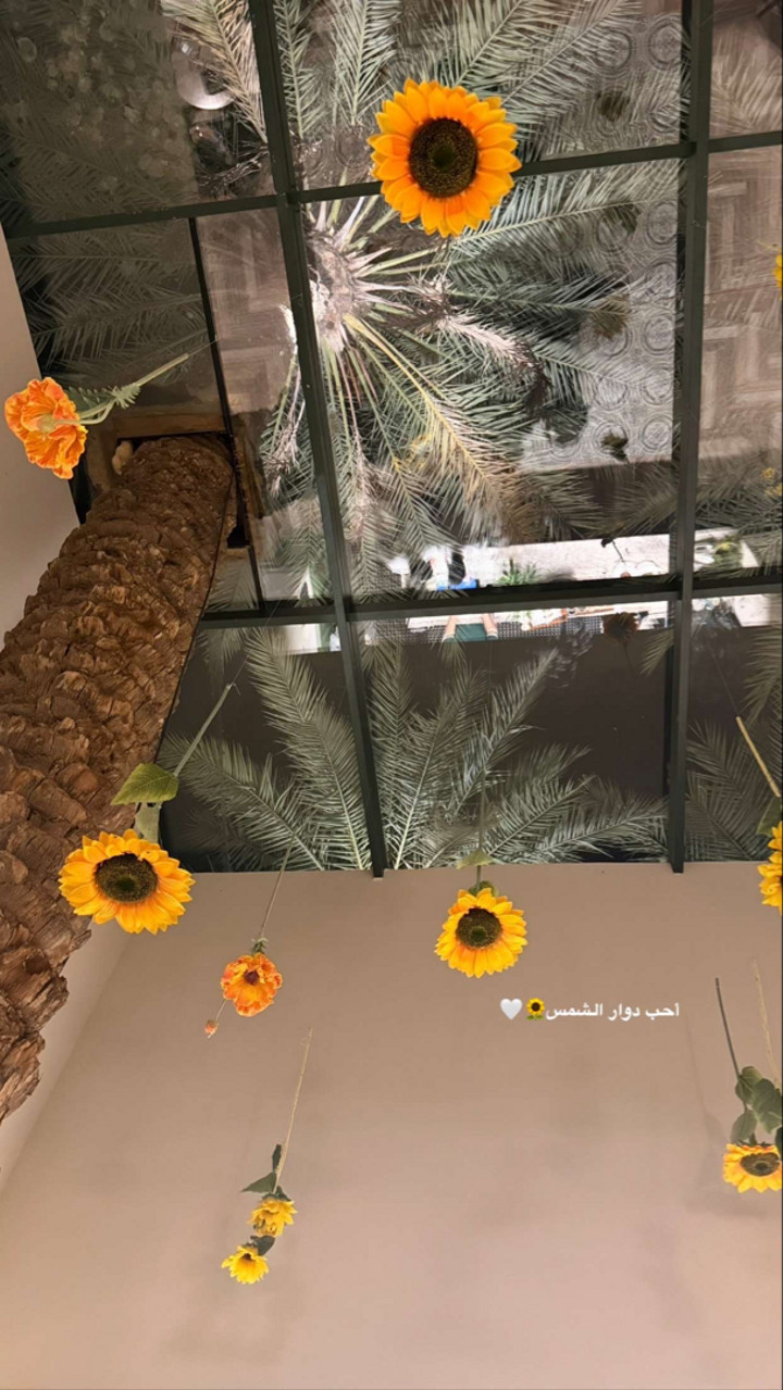 محتوى سناب شات لـ COACH GHAND ♡ ‏
