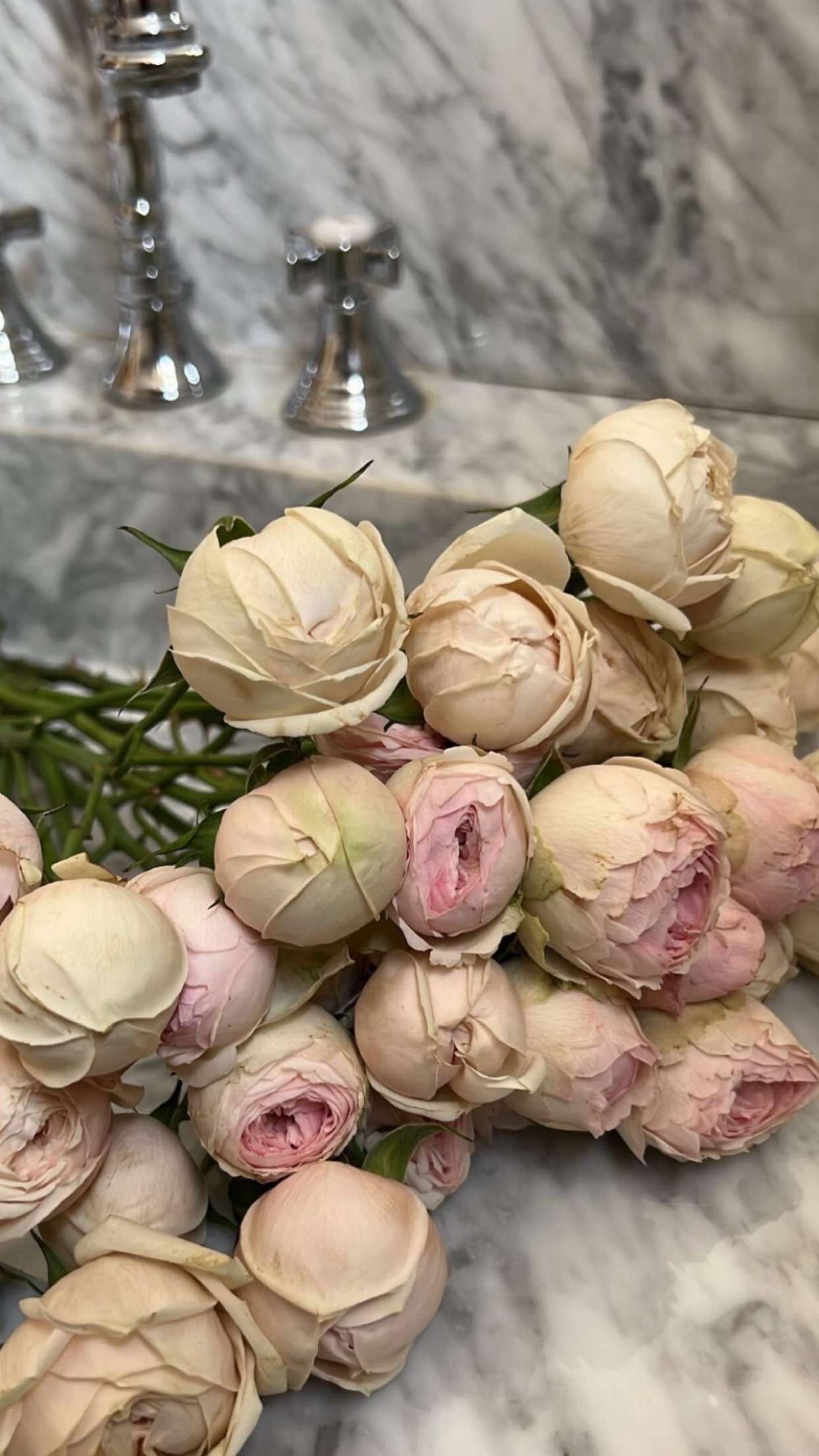 محتوى سناب شات لـ Lulu