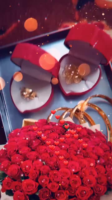 Preview for a Spotlight video that uses the 101 Roses Lens