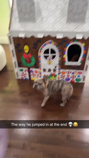 Spotlight content by a Snapchat user