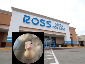 Ross Dress for Less Haul & Funny Moments