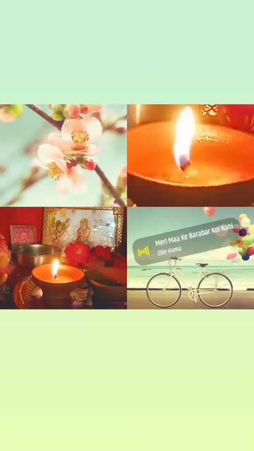 Preview for a Spotlight video that uses the Green Collage Lens