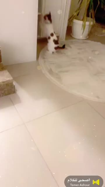 Preview for a Spotlight video that uses the Metall Bubbles Lens