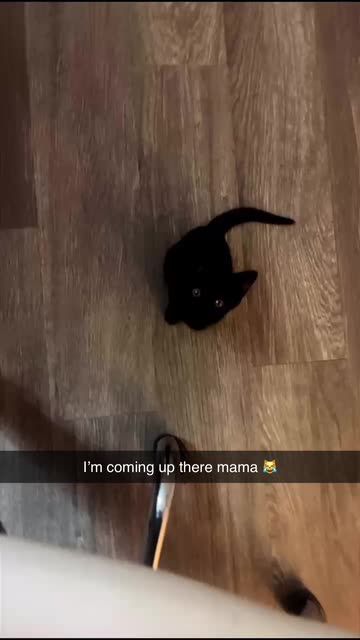 msheatherann87