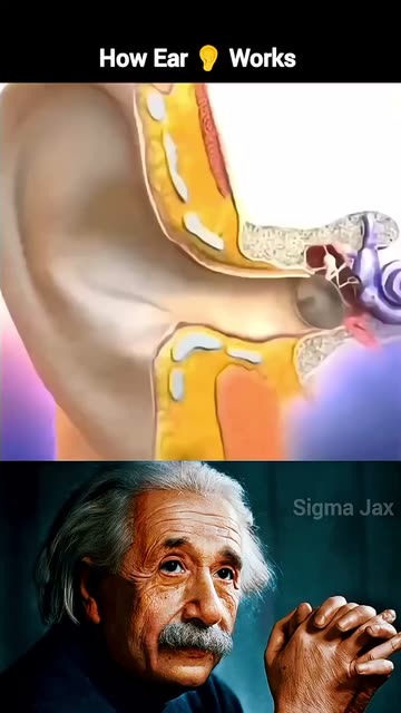 Milao