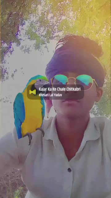 Preview for a Spotlight video that uses the Parrot 🦜 Lens