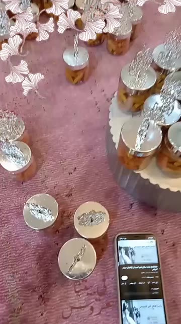Preview for a Spotlight video that uses the fillters bride Lens