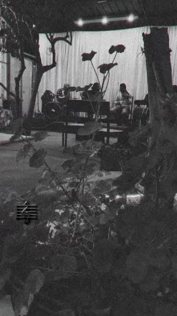 Preview for a Spotlight video that uses the Noir Lens