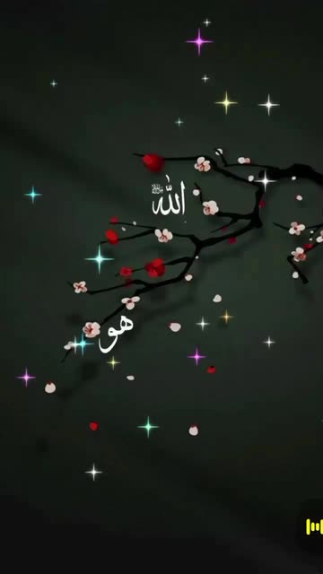 Preview for a Spotlight video that uses the ISLAMIC Lens