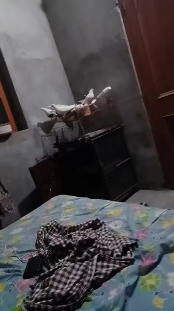 Preview for a Spotlight video that uses the My Muscle Mannequin Lens