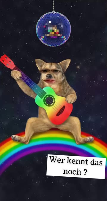 Preview for a Spotlight video that uses the Rainbow Dog Lens