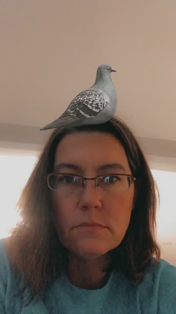 Preview for a Spotlight video that uses the Pigeon on Head Lens