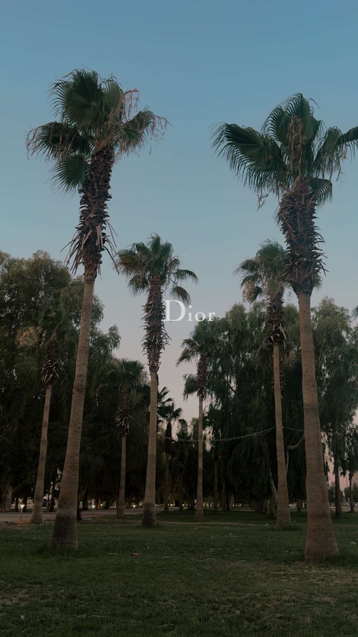 محتوى سناب شات لـ سهم عرعر