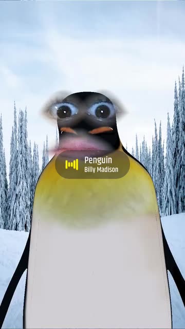 Preview for a Spotlight video that uses the Penguin Lens