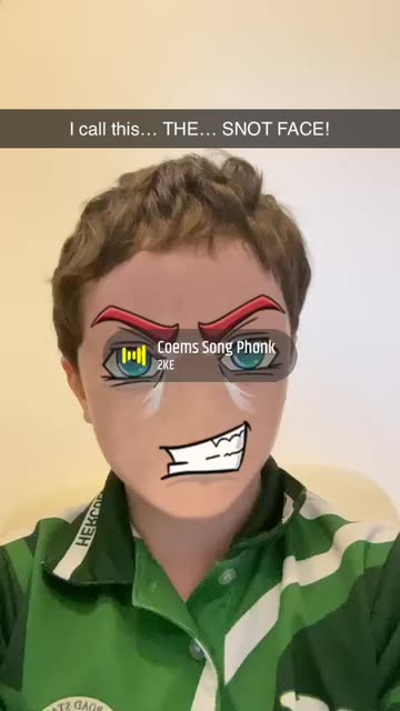 ROBLOX FACE Lens by 𝑫𝒊𝒆𝒈𝒐 🚀🇫🇷 - Snapchat Lenses and Filters