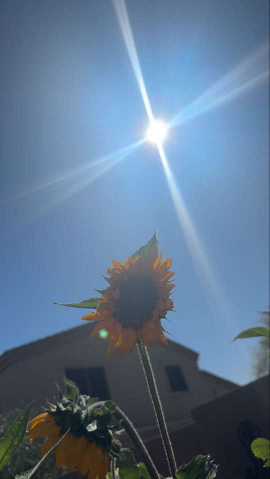 sunshine4u