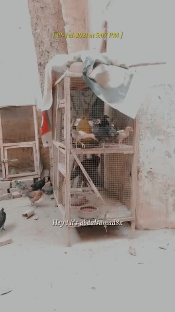 Preview for a Spotlight video that uses the Subtitles Lens