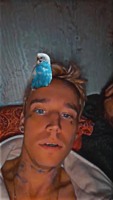 Preview for a Spotlight video that uses the bird on the head Lens