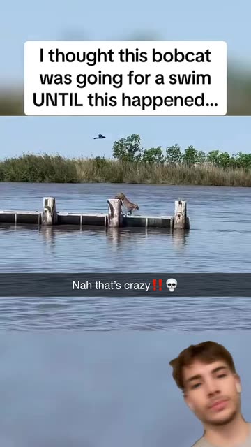Spotlight content by a Snapchat user