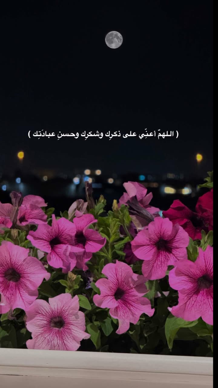 محتوى سناب شات لـ عفرا السويدي 🦋