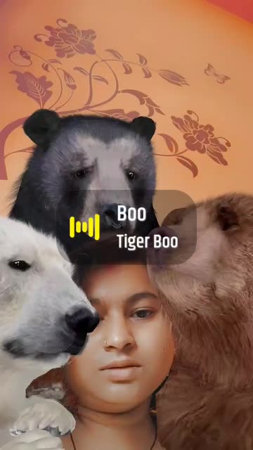 Preview for a Spotlight video that uses the 3 Little Bears Lens