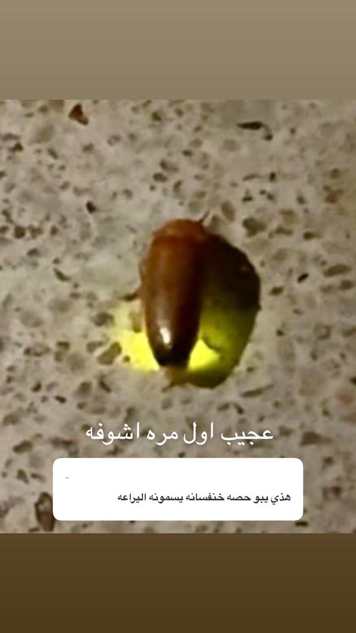 قصة سناب شات للحساب b3der_12 رقم 877