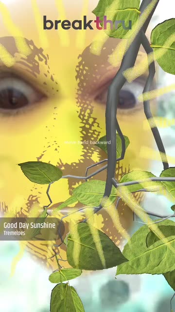 Preview for a Spotlight video that uses the BreakthruSunLeaf Lens