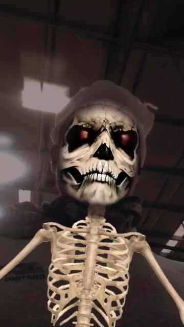 Preview for a Spotlight video that uses the DEM DRY BONES Lens