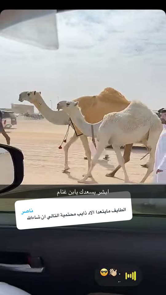mmarzouq
