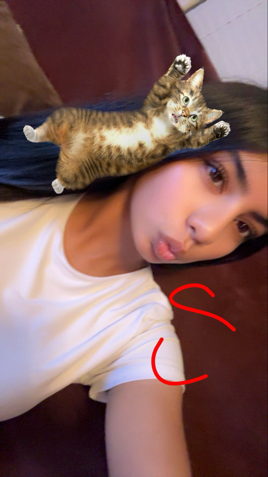 llj.asleen