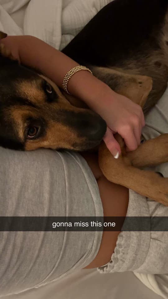 jaymebuddy