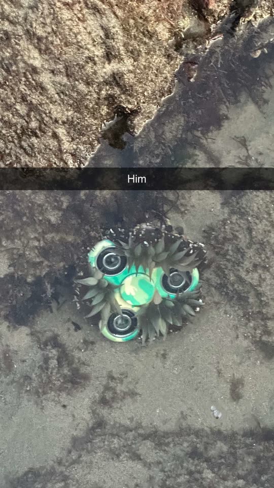illumitatiana