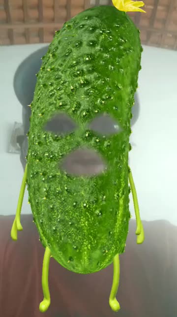 Preview for a Spotlight video that uses the cucumber lens Lens