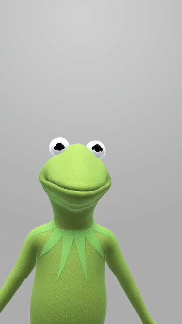 Preview for a Spotlight video that uses the Frog Puppet Lens