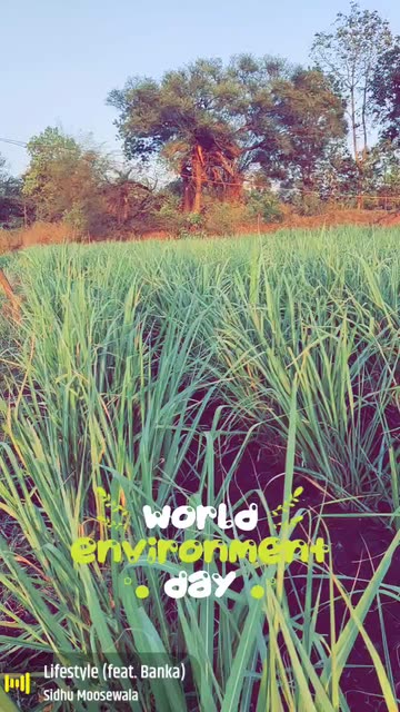 Preview for a Spotlight video that uses the Environmental Day Lens