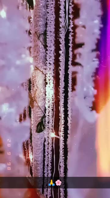 Preview for a Spotlight video that uses the HUJI Lens